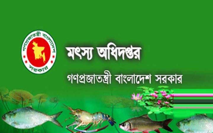 কৃত্রিম উপায়ে ইলিশ চাষের অনুমতি দেয়নি সরকার